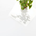 Blanco alto brillo con planta