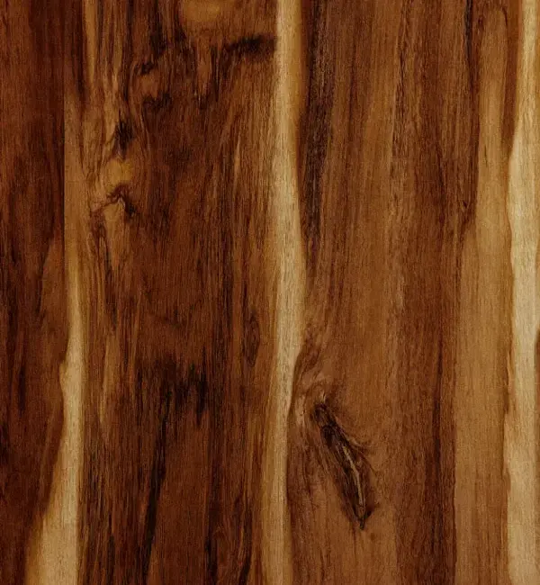 Cubrica parota 2.webp